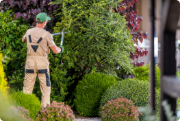 TranspaSearch Banner